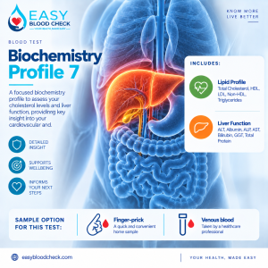 liver function, lipids function. blood test, biochemistry profile